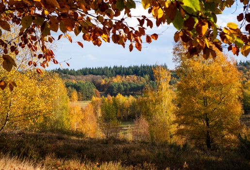 Gezin geniet van de herfstvakantie in Regio tijdens een dagje uit in het park met kleurrijke herfstbladeren
